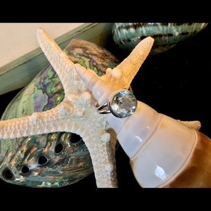 Sterling Silver and Sky Blue Topaz Ring